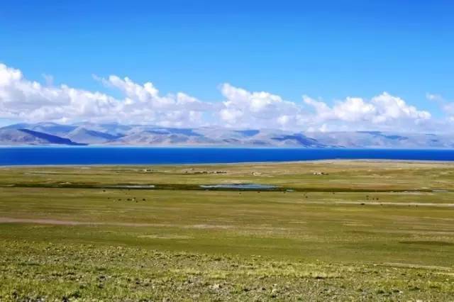 永久免费的无码中文字幕