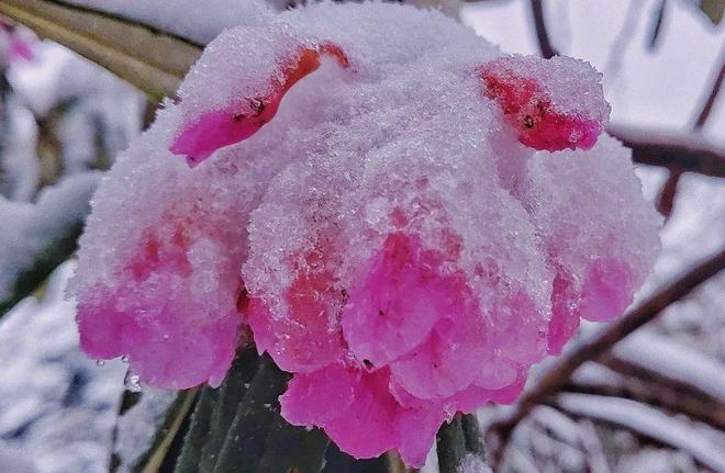 女神反差丸子很咸 女神极易形成味觉记忆