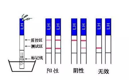 幼幼babysex 幼幼我非常乐意为你提供帮助