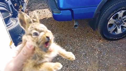 高跟视频 高跟视频非常解压和有艺术感