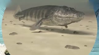 日韩精品无码AV国模 在海外拥有稳定的受众群体