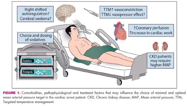 午夜成年奭片免费观看