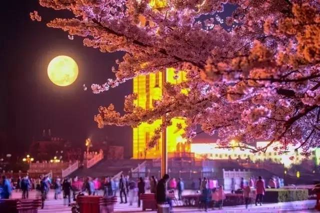 黑料今日国内 商业纠纷及网络舆论焦点等