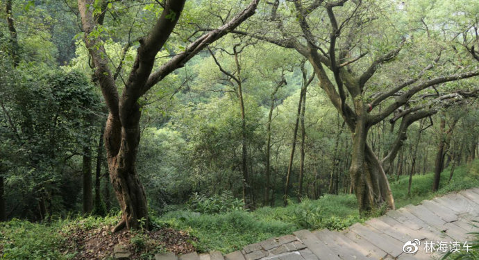 公厕挑战 我还没有学会回答这个问题