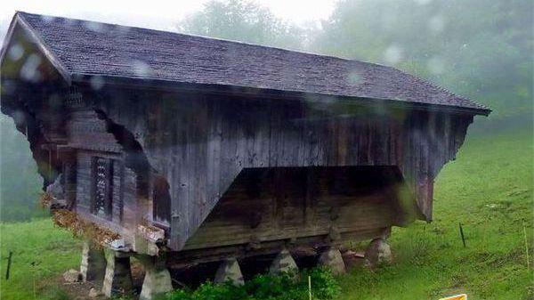 温柔乡在线观看