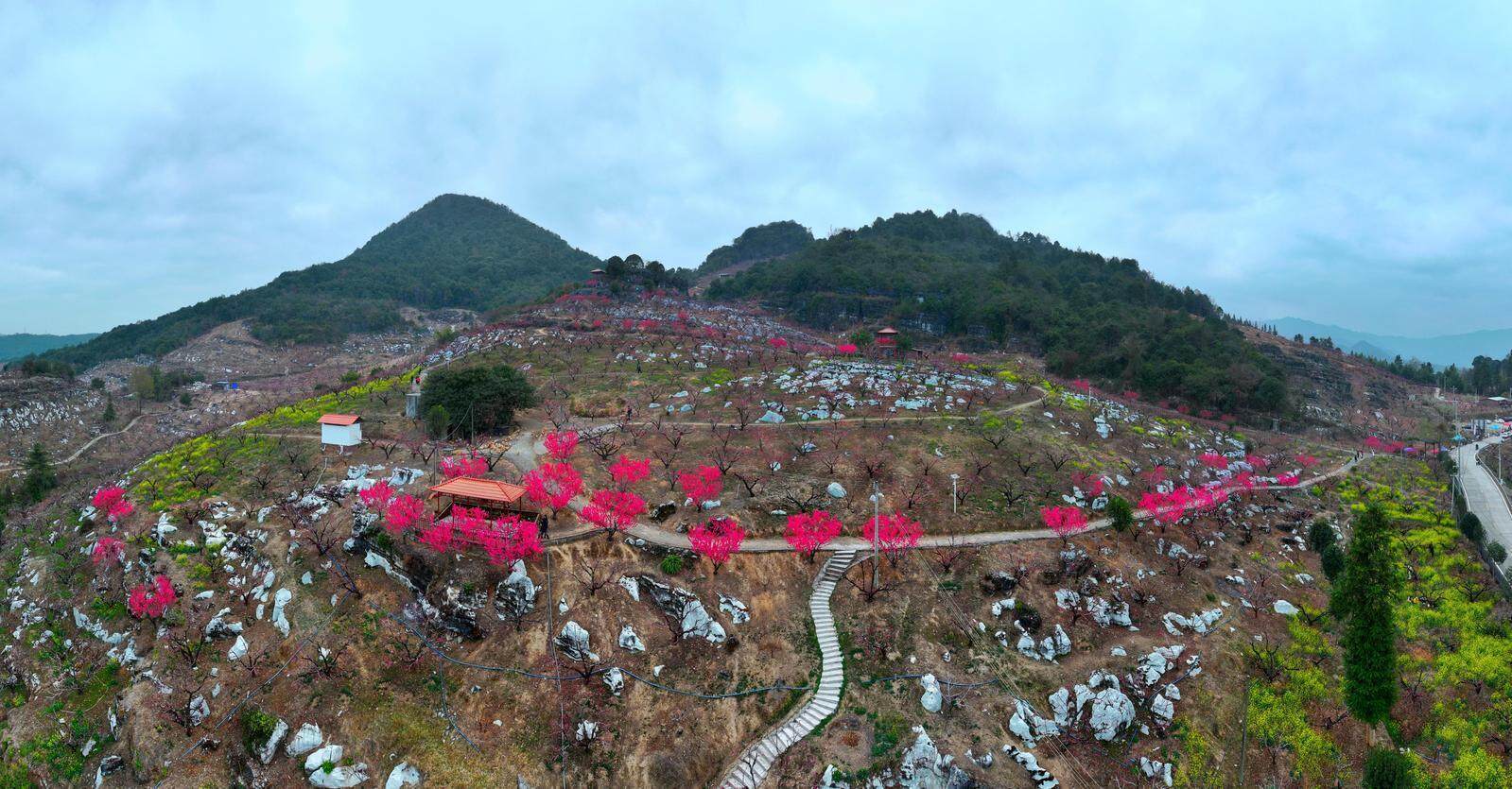 司波深雪在线 冻结系的司波深雪魔法