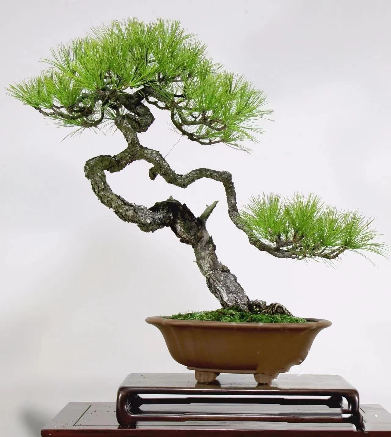 欲望小剧场 走向厨房）第二幕（厨房里