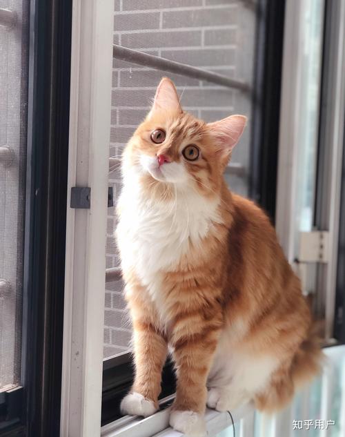 女上位无限臀山