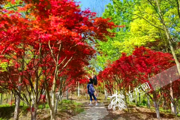 女上位无限臀山 带有戏谑意味的限臀描述