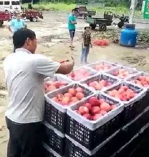 mj视频 纪录片和粉丝剪辑视频