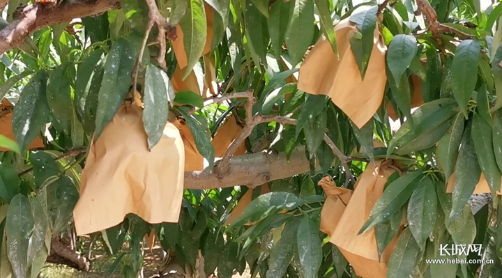 b站直播视角 站直播渴望找到同好圈层