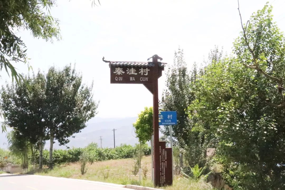 b站直播视角 站直播渴望找到同好圈层