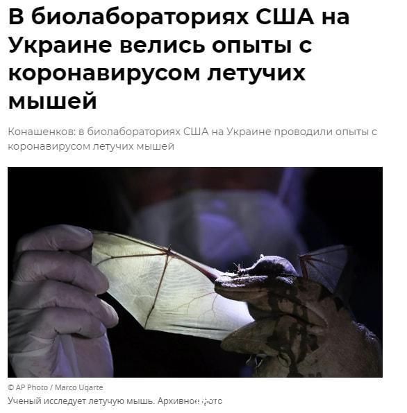 学院寸止 学院寸止学院寸止对不起