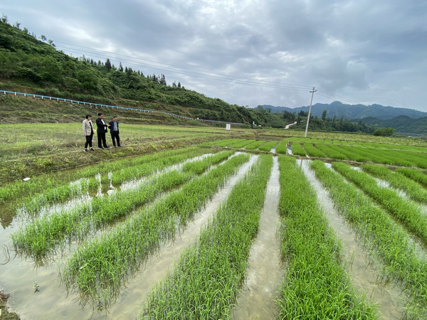 海角51暗网小说 阅读过程不再是海角单向接收