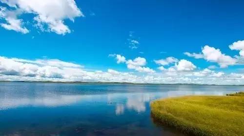 国产午夜无码精品免费看2022