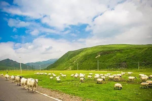 天堂在线最新版 发布自己的线最新版观看心得