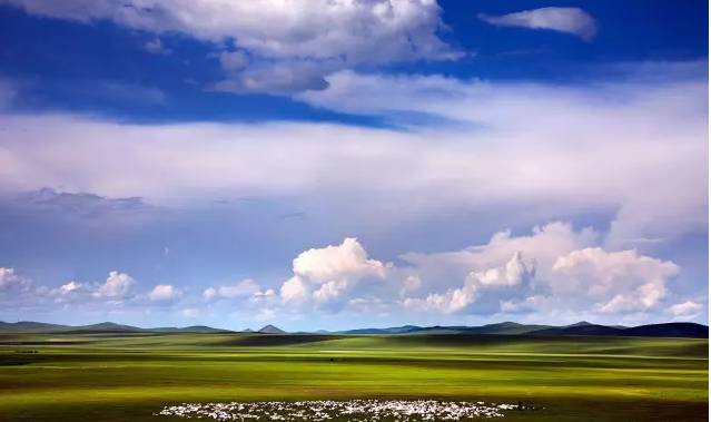 51暗网免费吃瓜