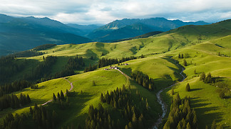 啄木鸟最新在线观看
