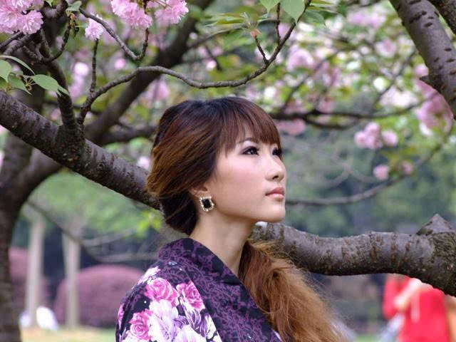 l heritage de laure 1996 在 线 +观 看 年份(1996)以及国家/语言