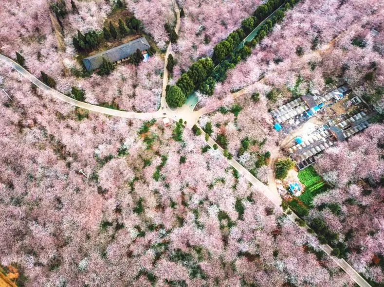 寄生下流麻豆 我无法提供创作支持