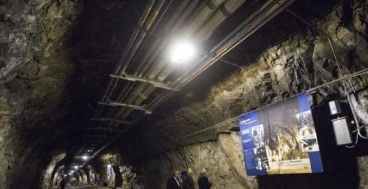 动漫系列 冒险、从热血战斗到温馨日常