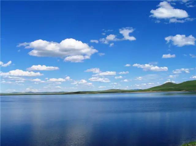 nami视频 有时被简称为“N站”