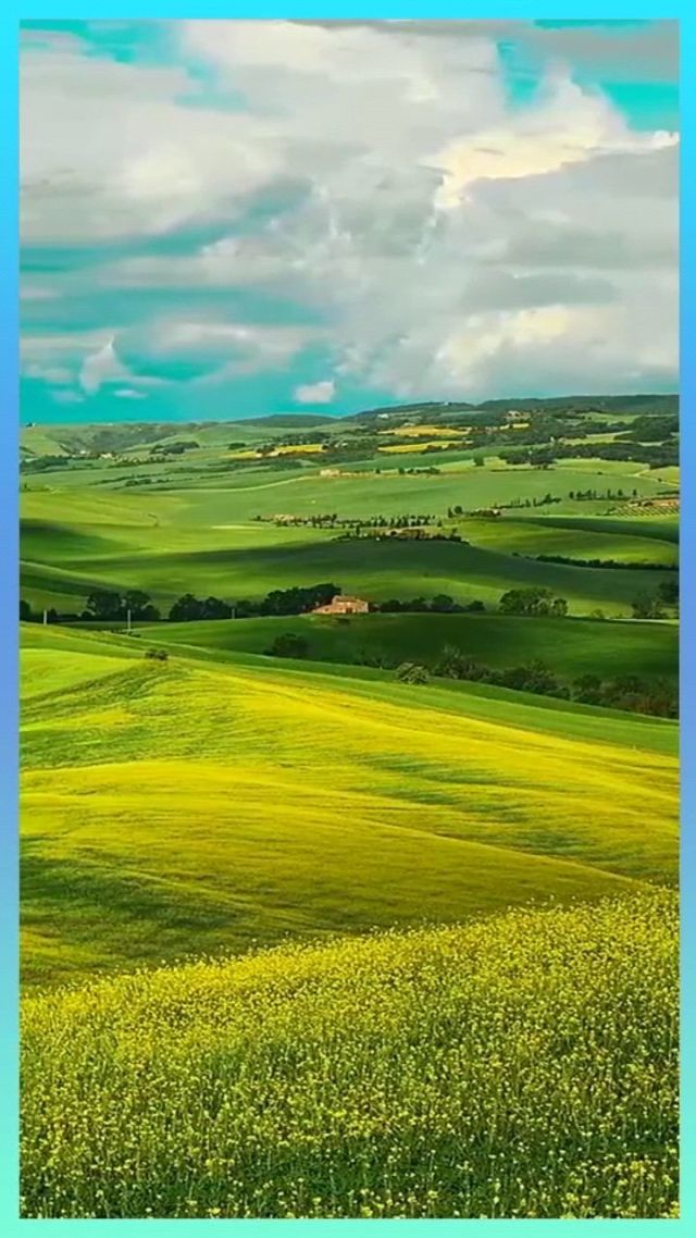 困困兔闺蜜 困困安稳与陪伴的兔闺人来说