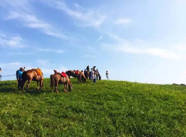 困困兔闺蜜 困困安稳与陪伴的兔闺人来说