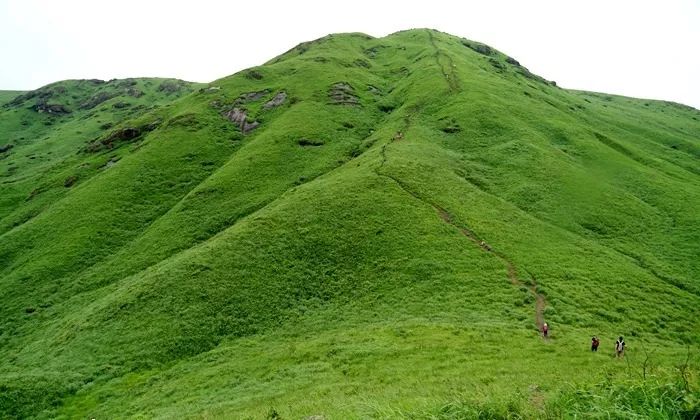 困困兔闺蜜 困困安稳与陪伴的兔闺人来说