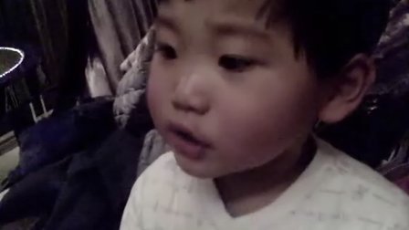 瑞恩基莉啄木鸟