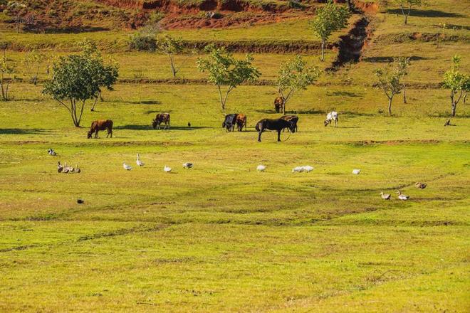亚洲精品国产一级c片
