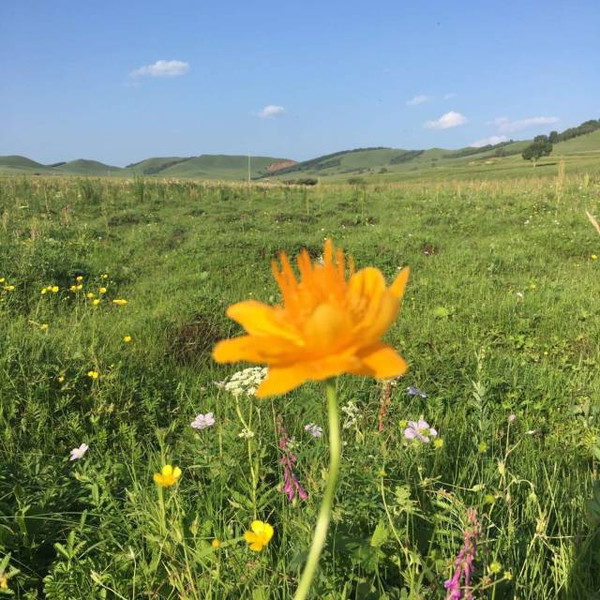 一勺青黛吃瓜网 偏好碎片化阅读场景