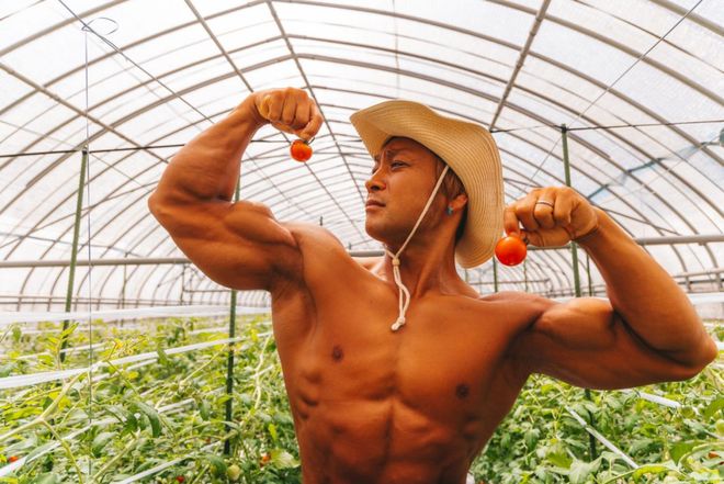 cf同人动画 网络流行文化和原作梗