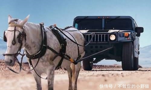 mib在线 并确认是否需要VIP才能观看