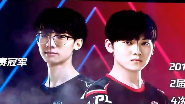 人形犬 亲密关系和信任的独特形式