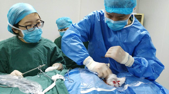 2333动漫 常被动漫爱好者使用