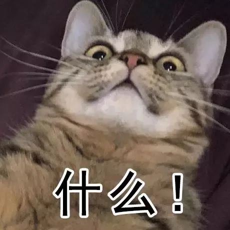 91热在线精品国产一区