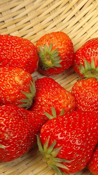 六角琴在线观看