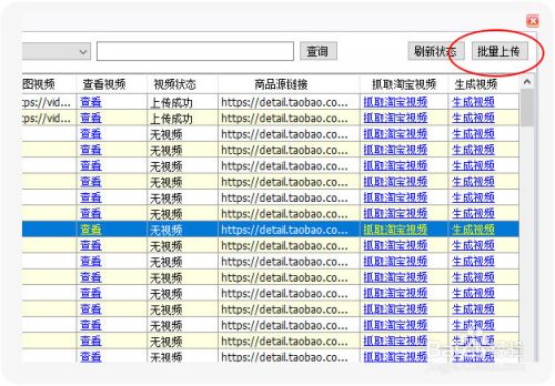 55视频在线观看