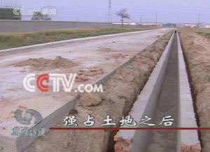 桃红影视大全套