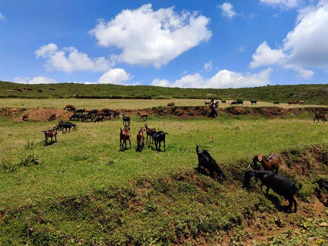 有声小说 很多平台有免费试听集
