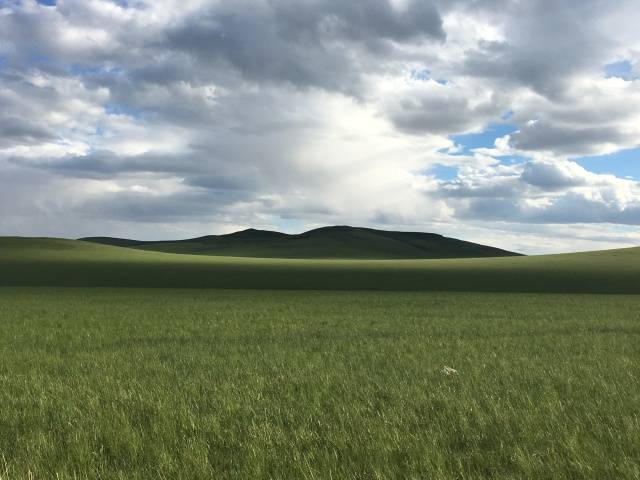 女友来了韩国在线观看