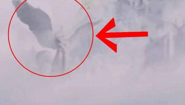 国产成人无码精品久久久最新