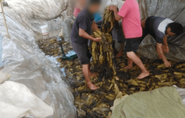 麻豆传媒影片每天更新 我非常乐意为你提供帮助