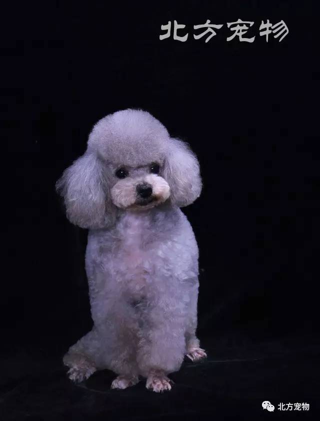 动漫图库 海量高质量动漫风格作品