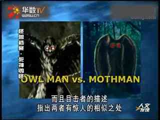 另类视频 使用组合关键词会更有帮助