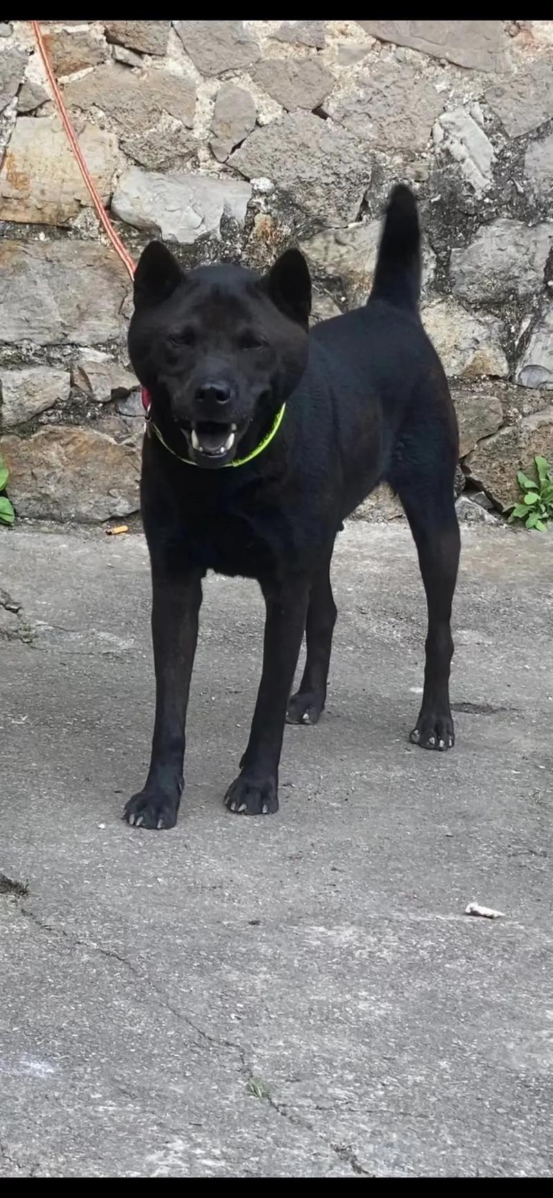 91人妻无码精品蜜桃hd 她们积极管理身心健康