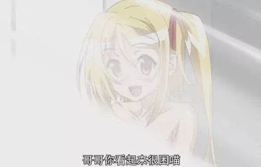 久久99精品久久久久久9鸭