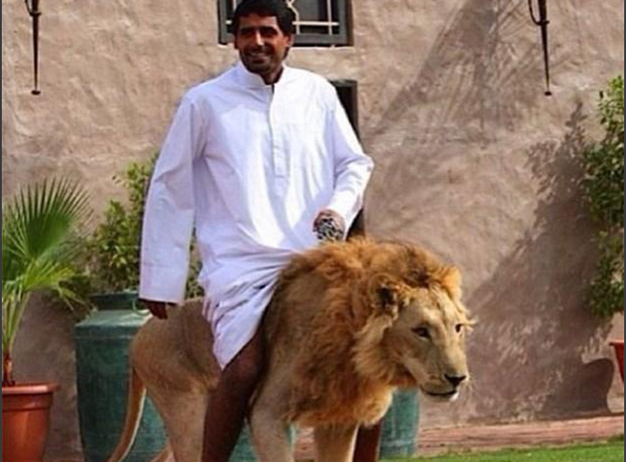 猫先生千人斩之我的小宝贝终于毕业了 日程安排与迷你挑战