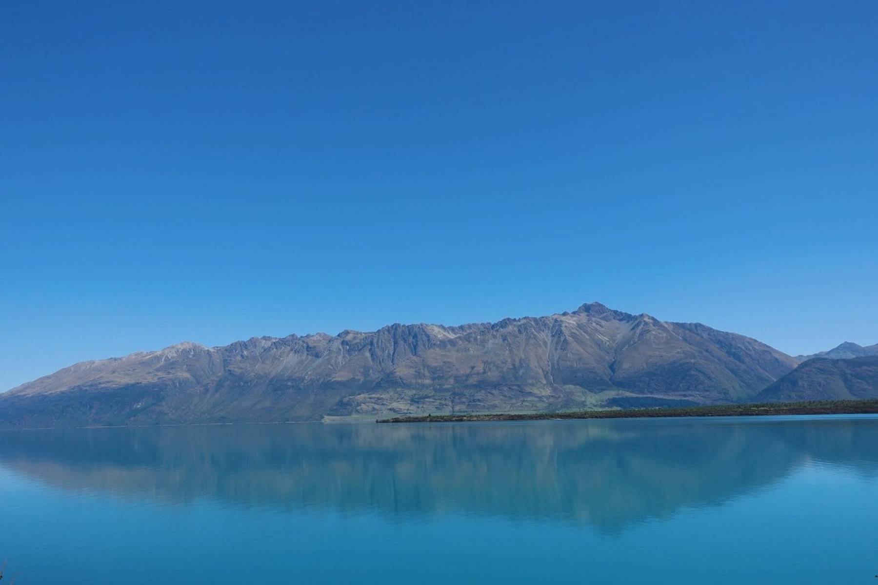 足球宝贝啄木鸟